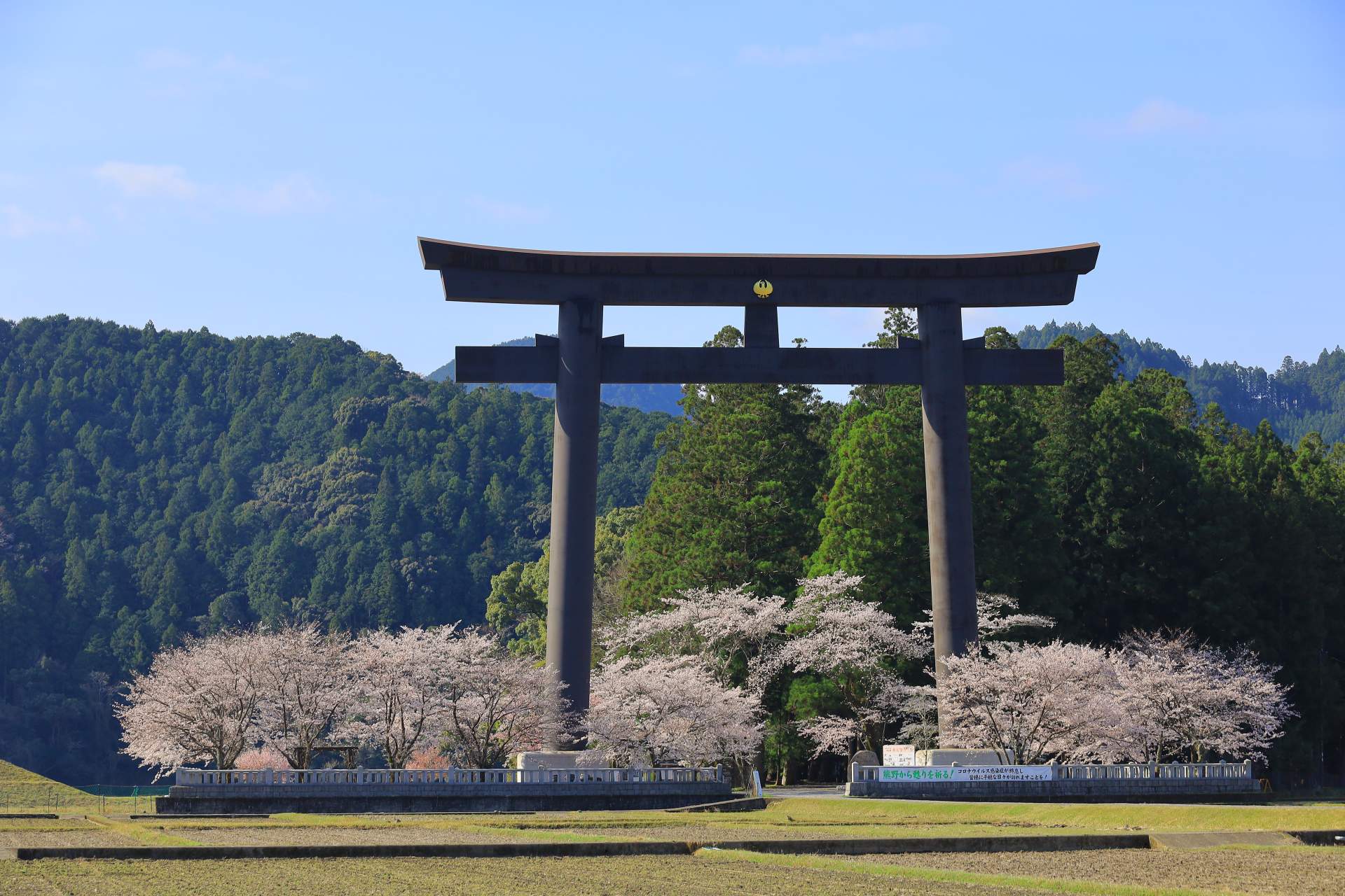 本宮大社の旧社地「大斎原」は桜の名所としても知られる。
©和歌山県観光連盟