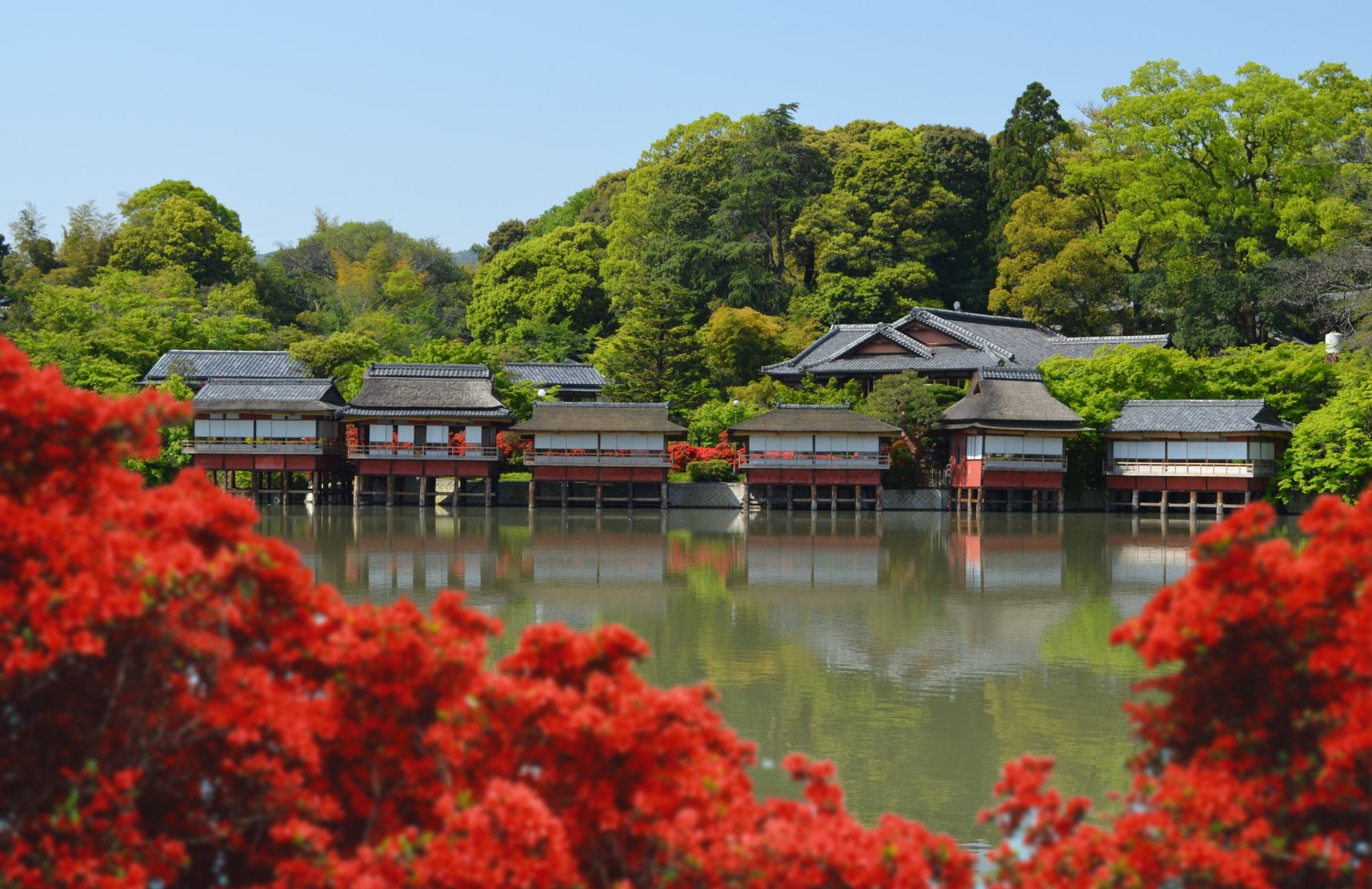 八条ヶ池の向かいから見た錦水亭