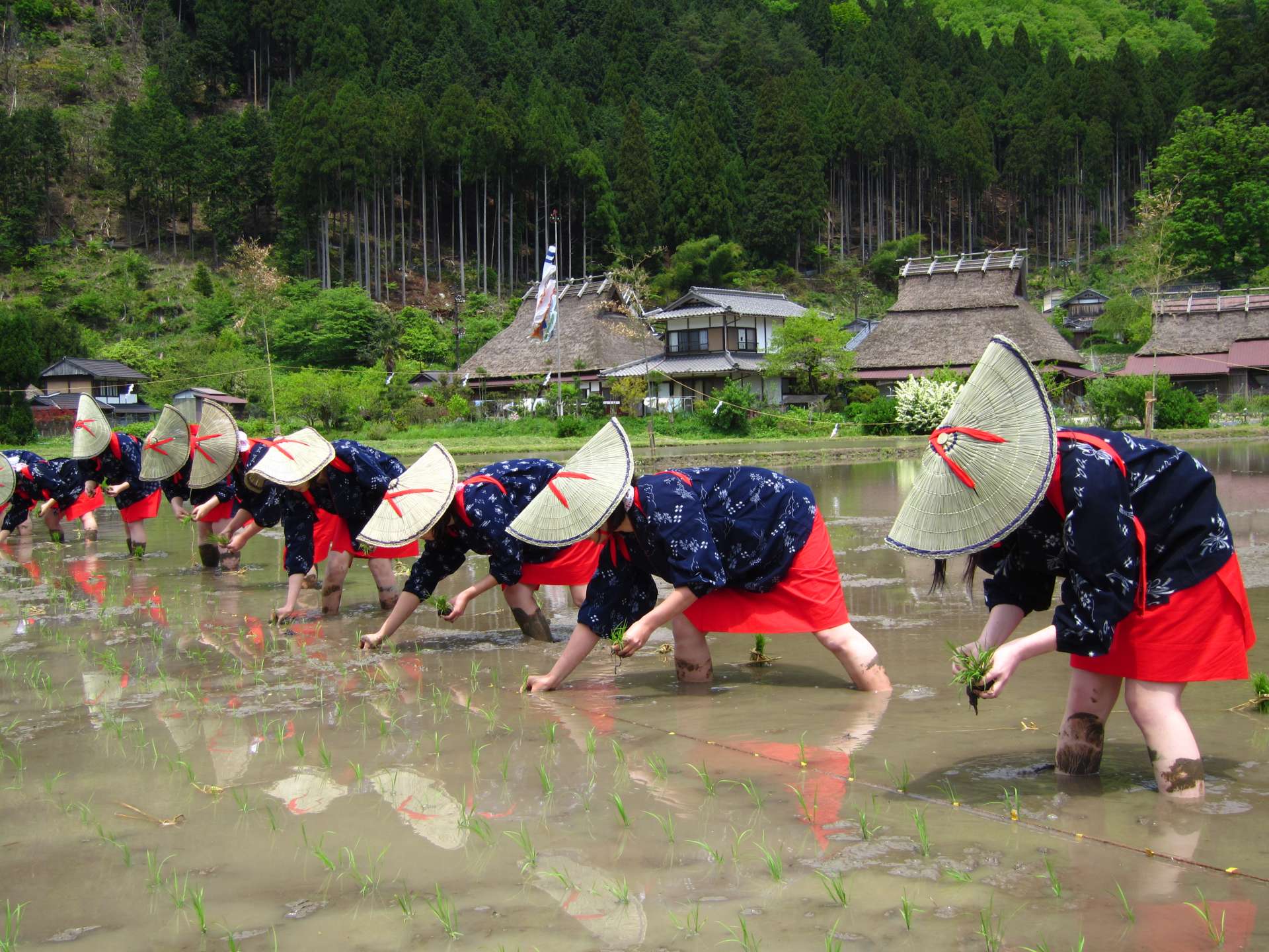 5月に行われるお田植祭