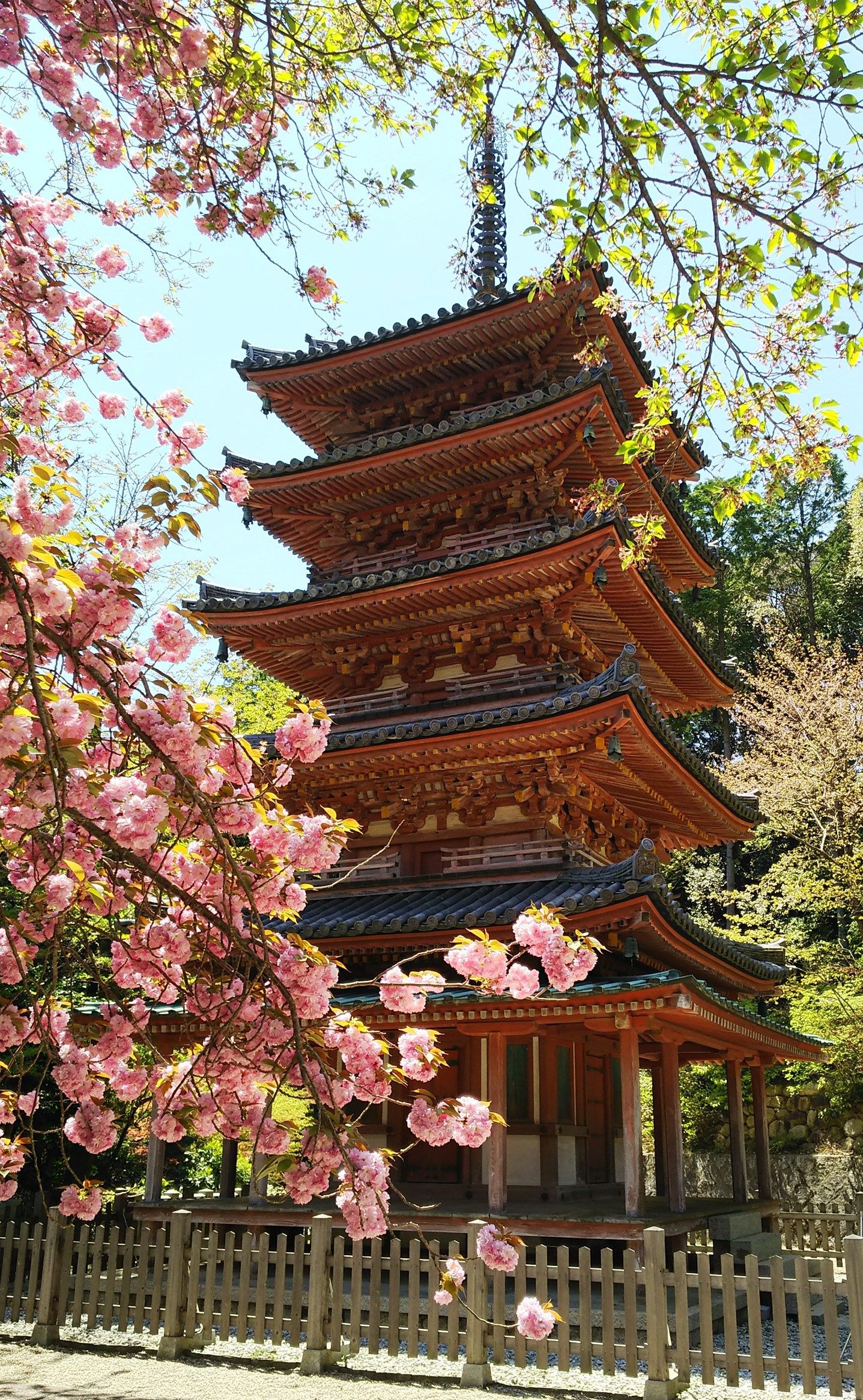 海住山寺 五重塔(国宝)(©一般社団法人京都山城地域振興社)