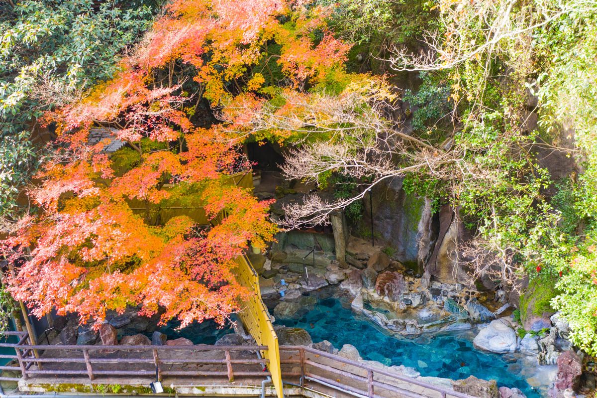 秋は紅葉観賞の特等席に。