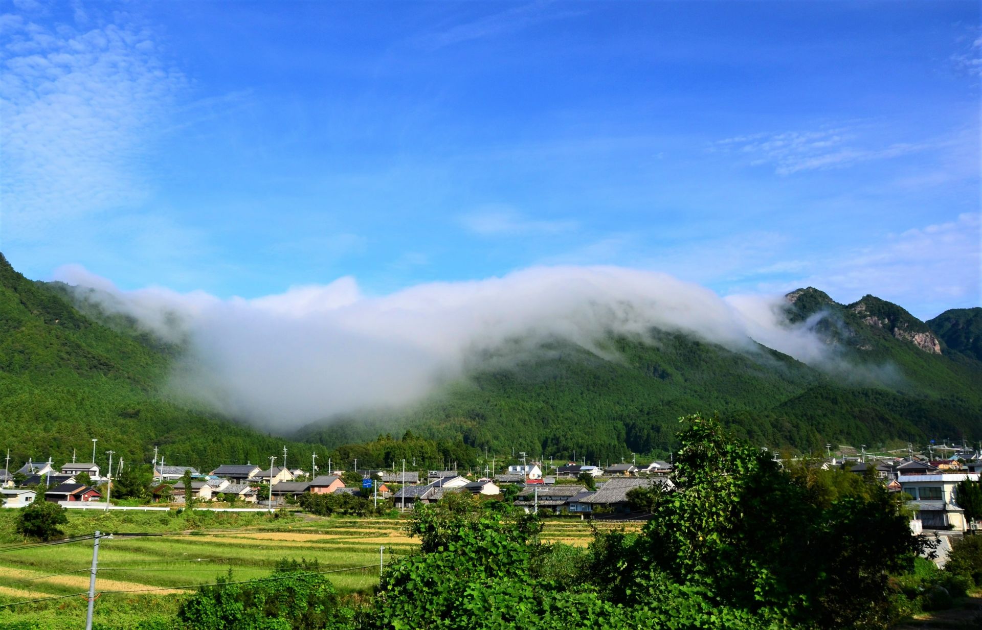 山の向こうから真っ白な霧の帯が流れ降りている