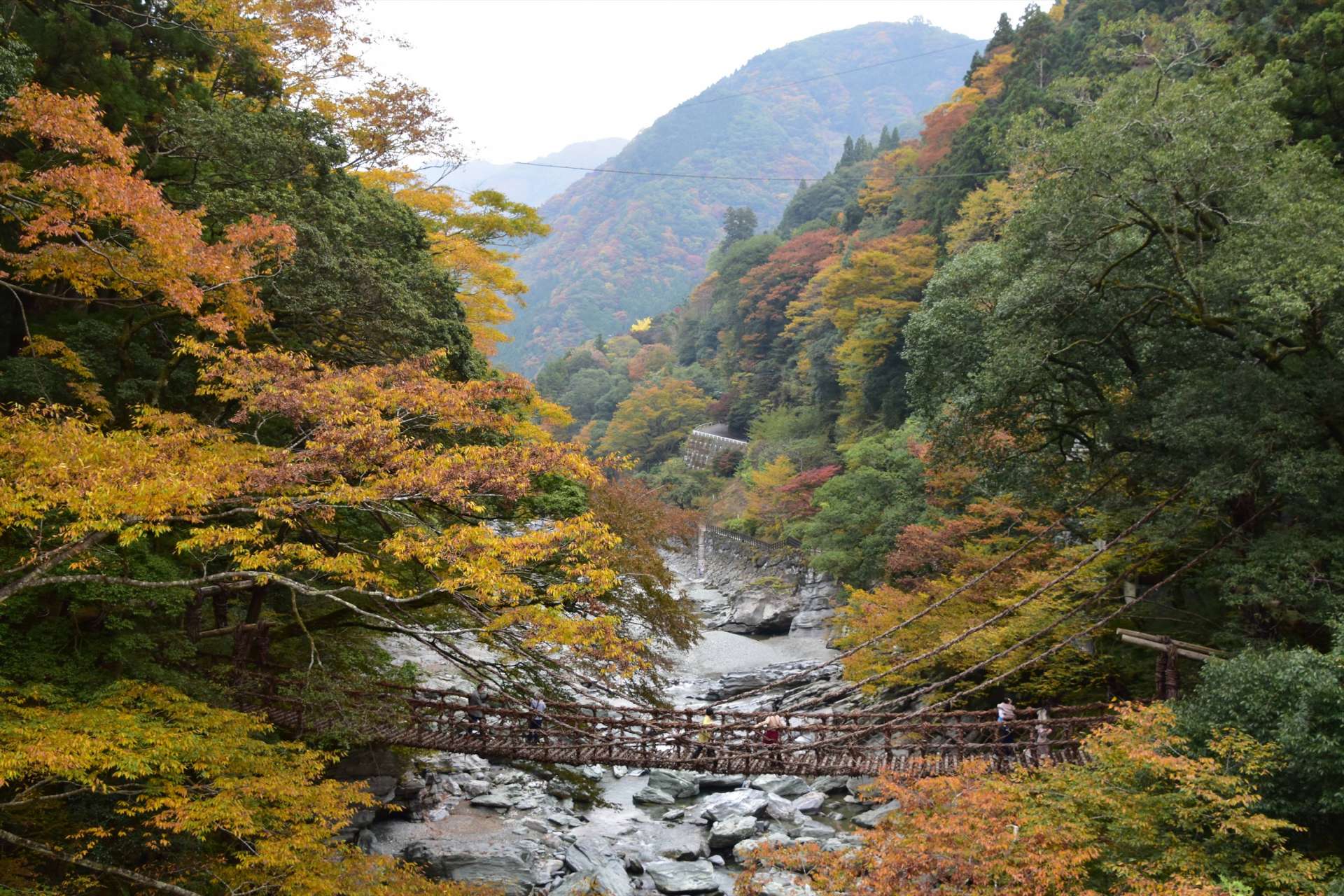 急峻な山々と断崖絶壁からなる壮大な渓谷美の祖谷川 | Premium関西