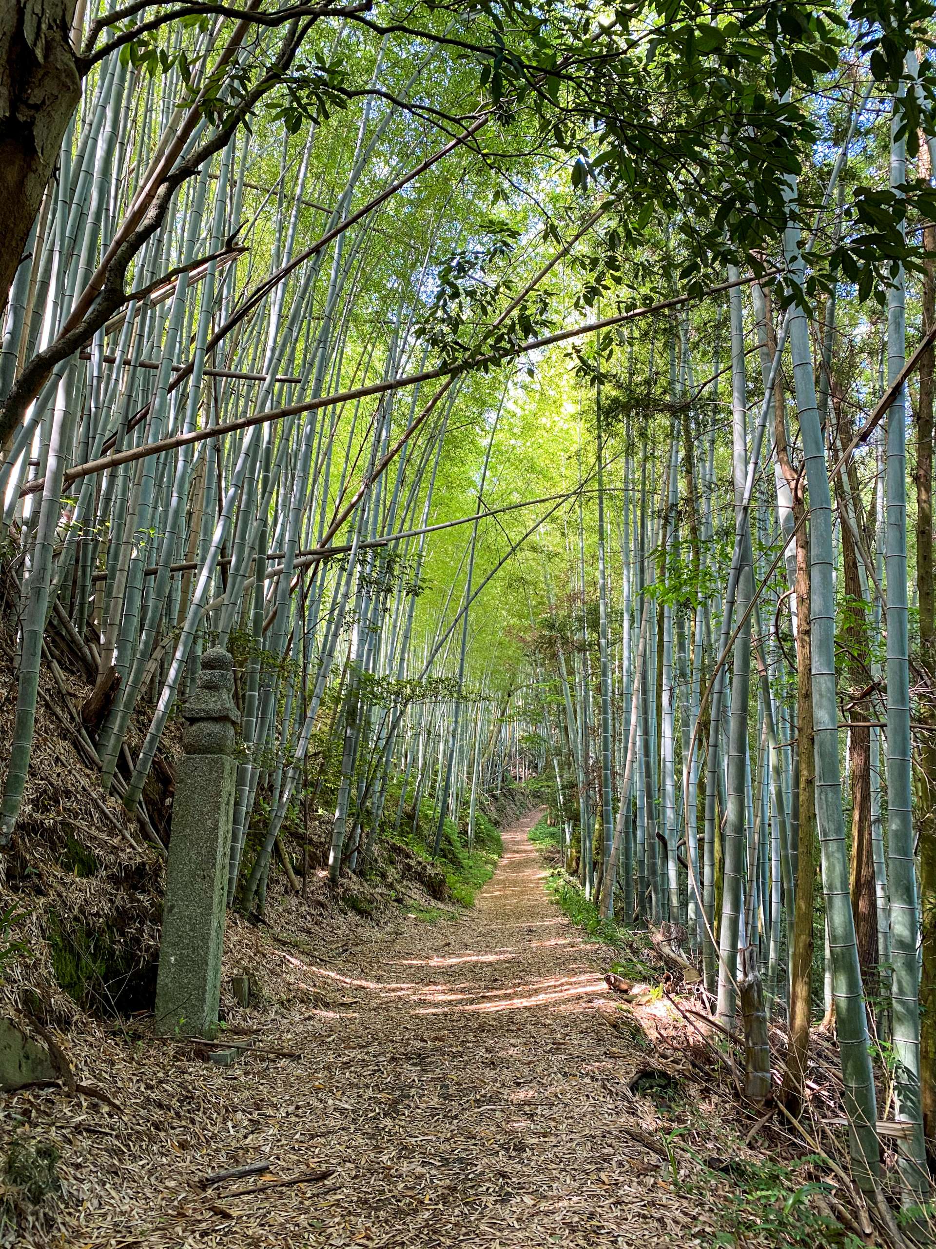 かつて弘法大師も幾度となくこの道を歩いた