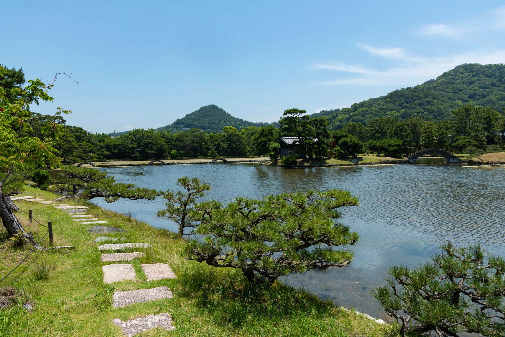 海水を取り入れた池のため、イナ(ボラの若魚)やハゼなど海と川の境に棲む生物を見ることも
