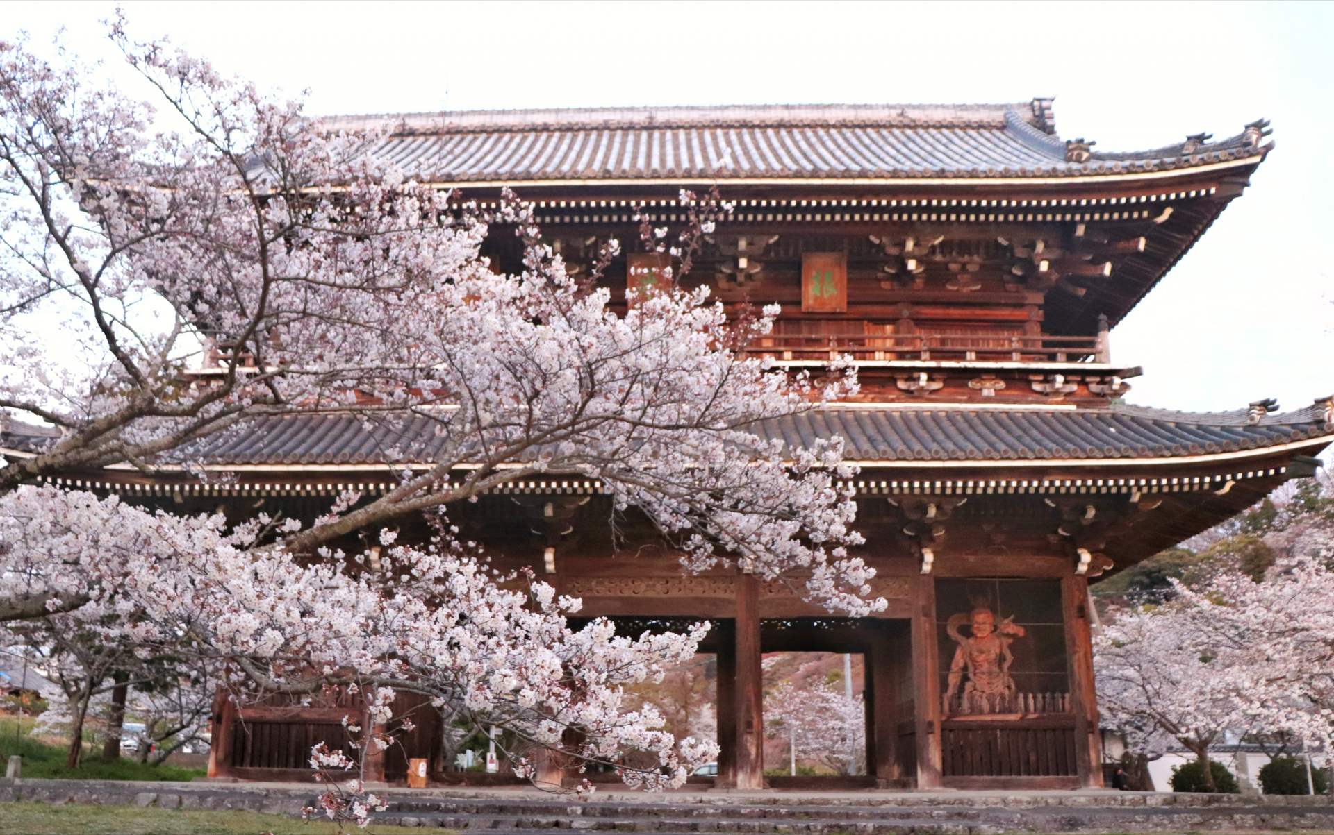 春には境内約7000本の桜が咲き誇り、胸を打つ光景が広がる